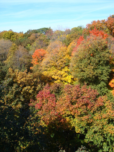 Toronto in October