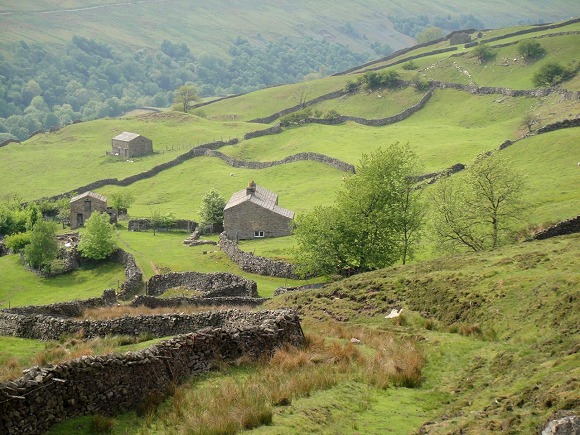 Swaledale in June